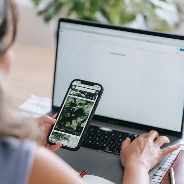 seo agentur berlin